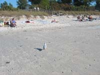 IMG_0281